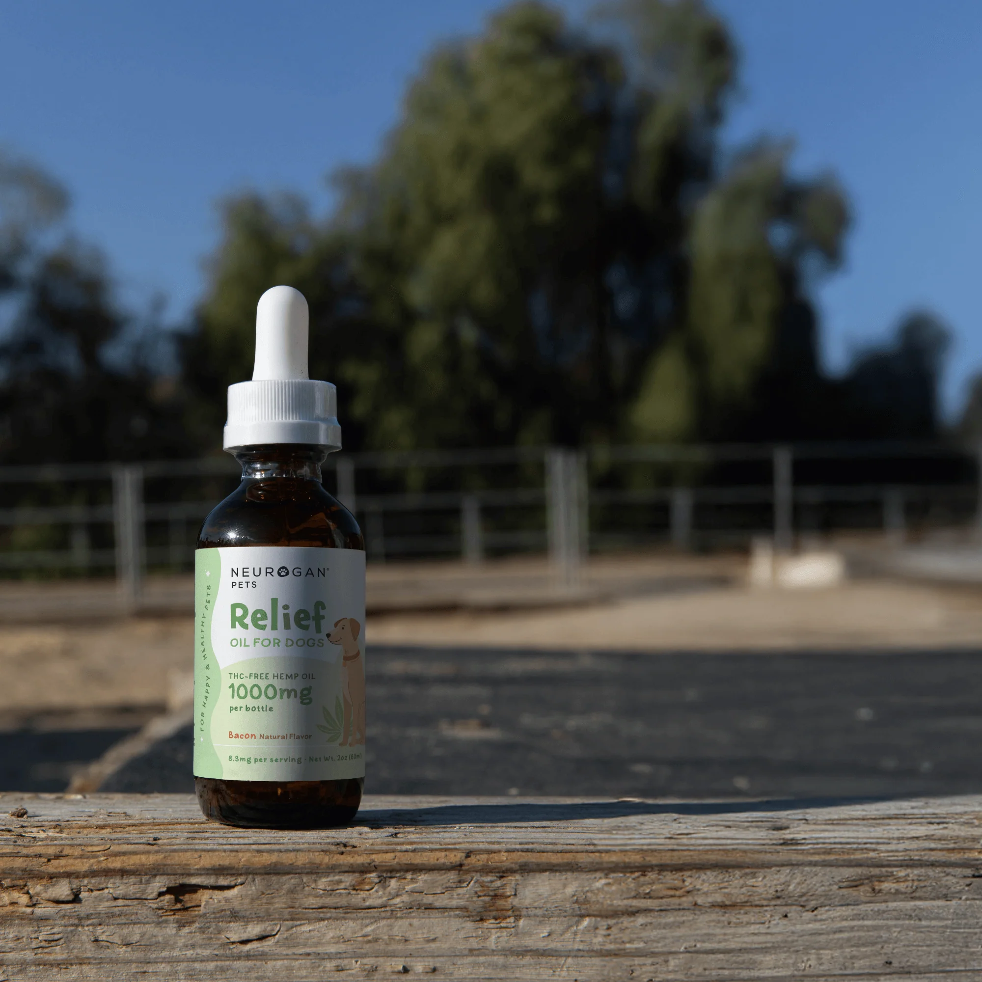 Bacon Flavored CBD Oil for Dogs - Image 5