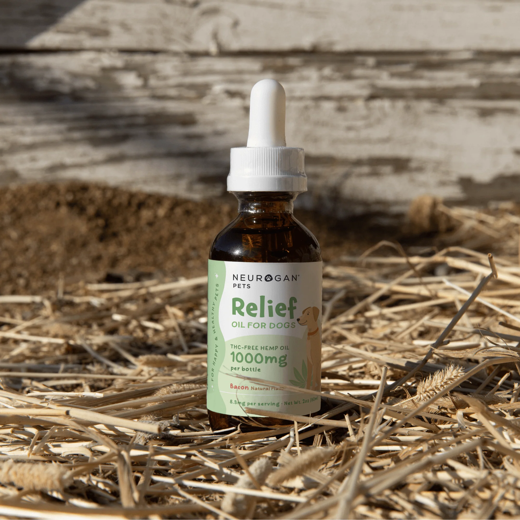 Bacon Flavored CBD Oil for Dogs - Image 6