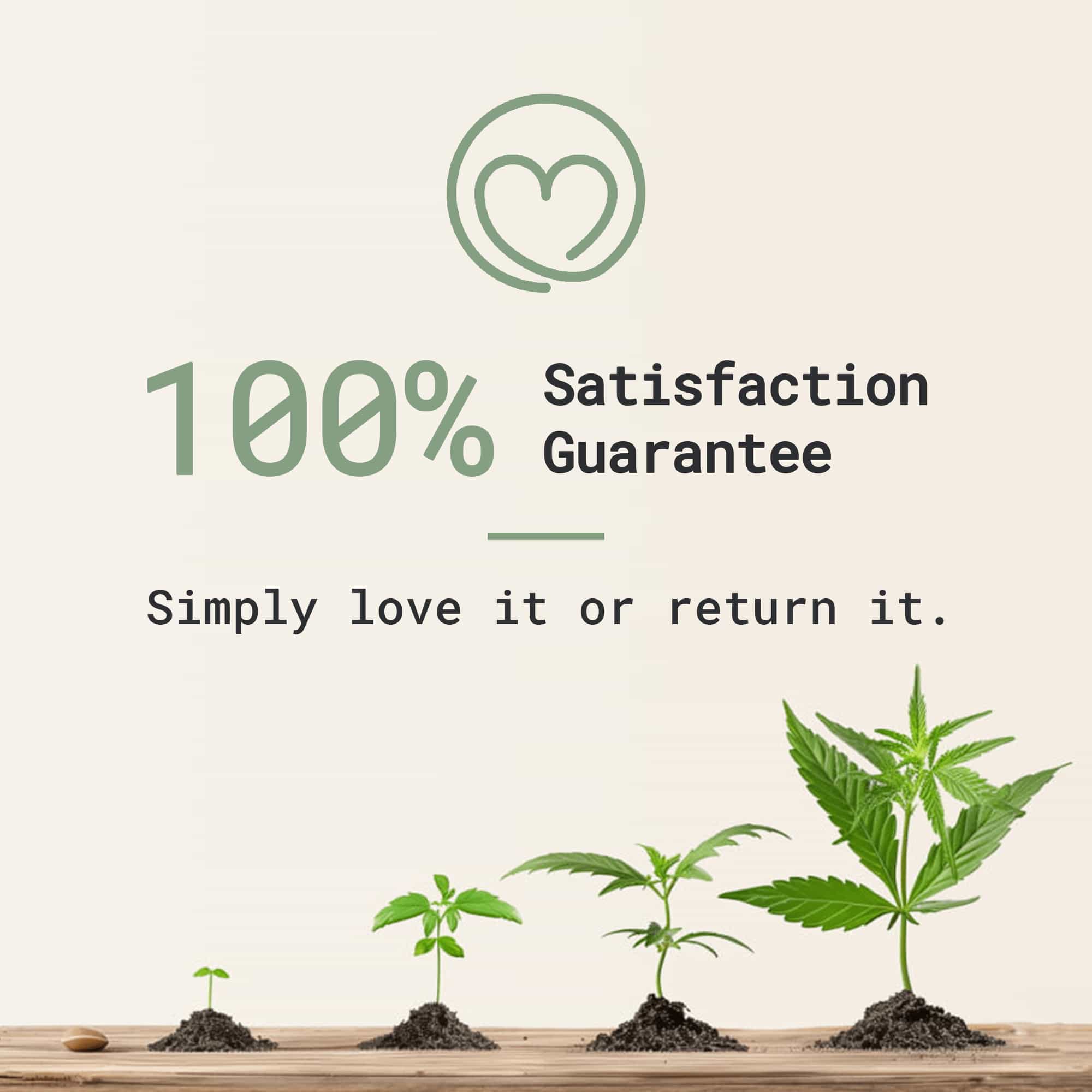 CBD Body Lotion - Image 3