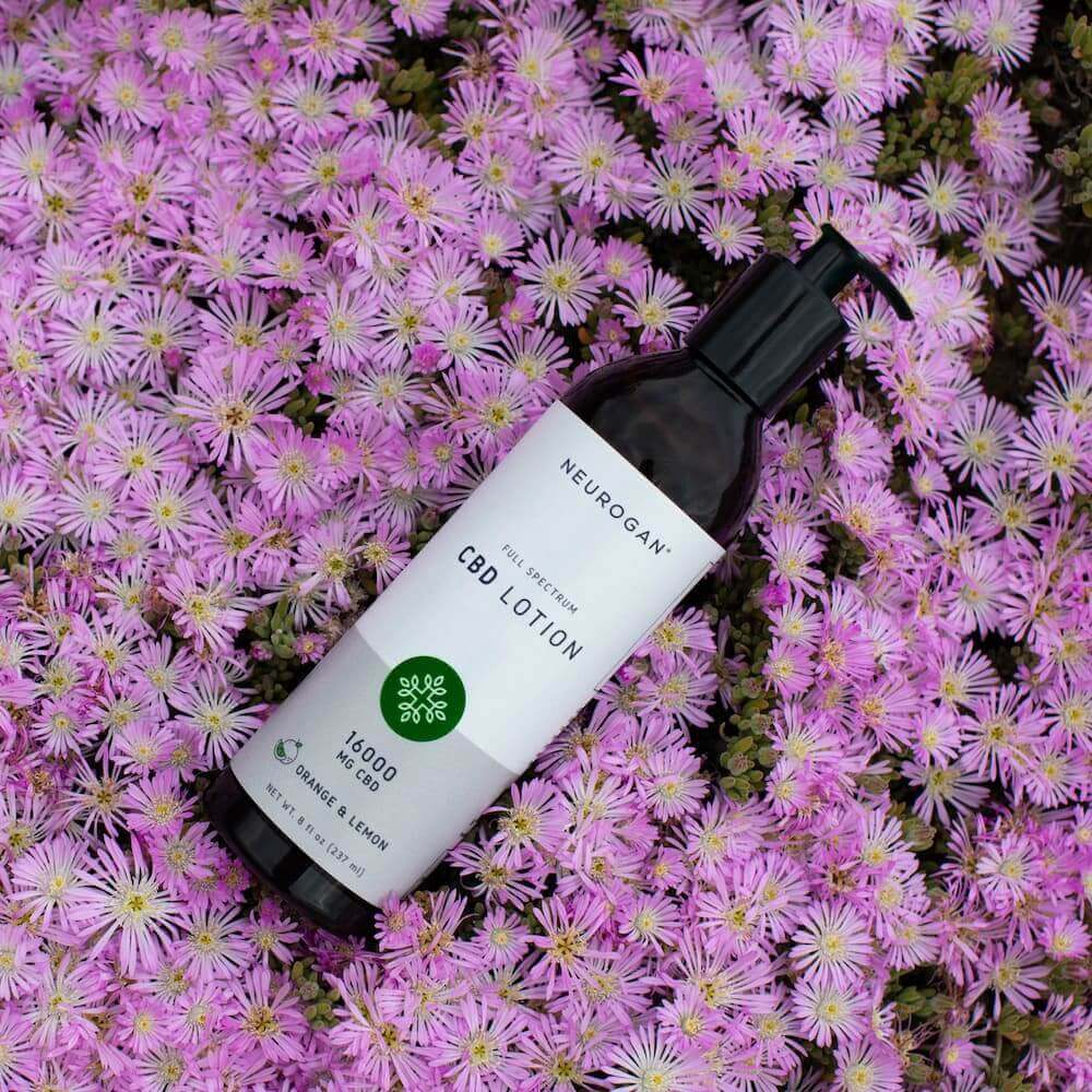 CBD Body Lotion - Image 5