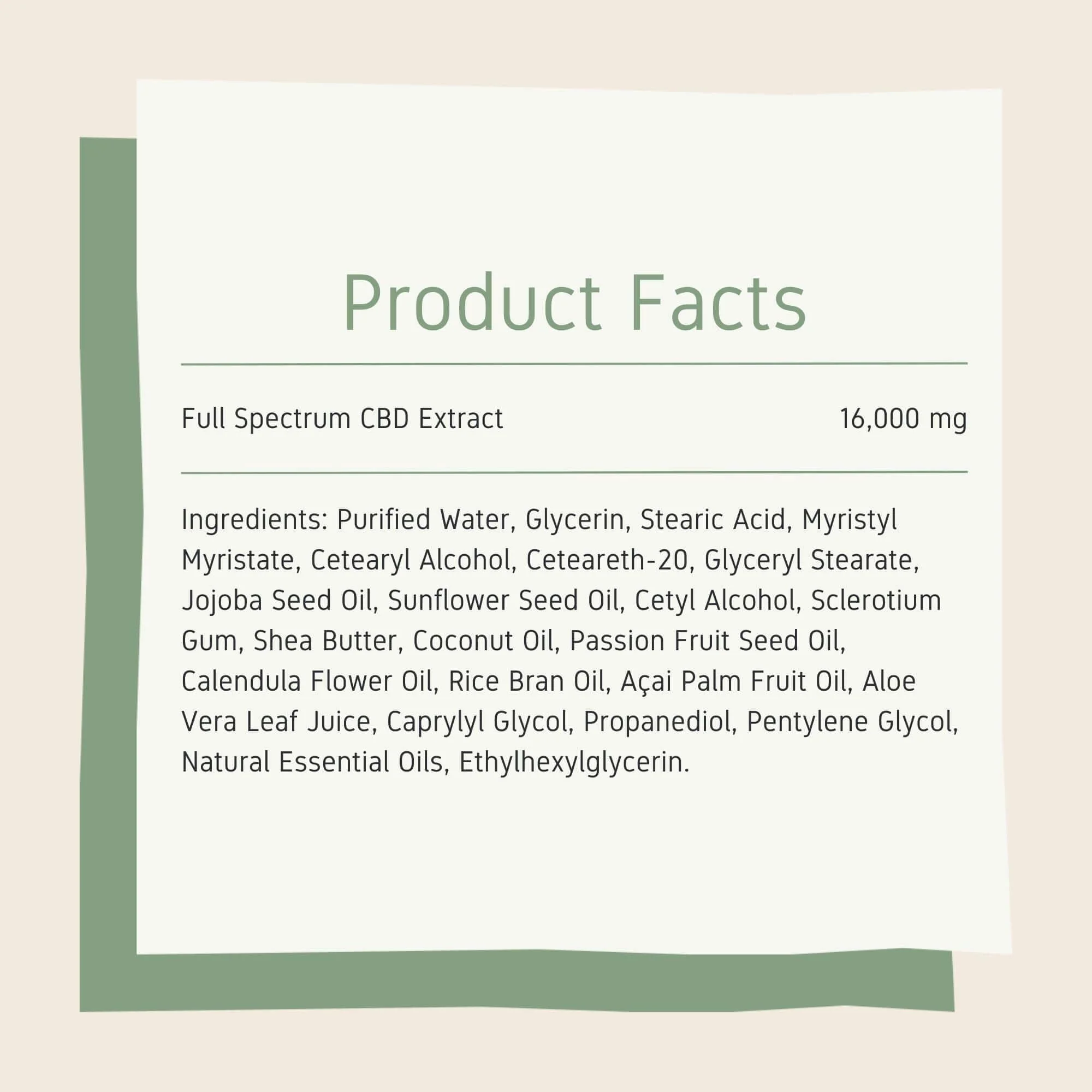 CBD Body Lotion - Image 6