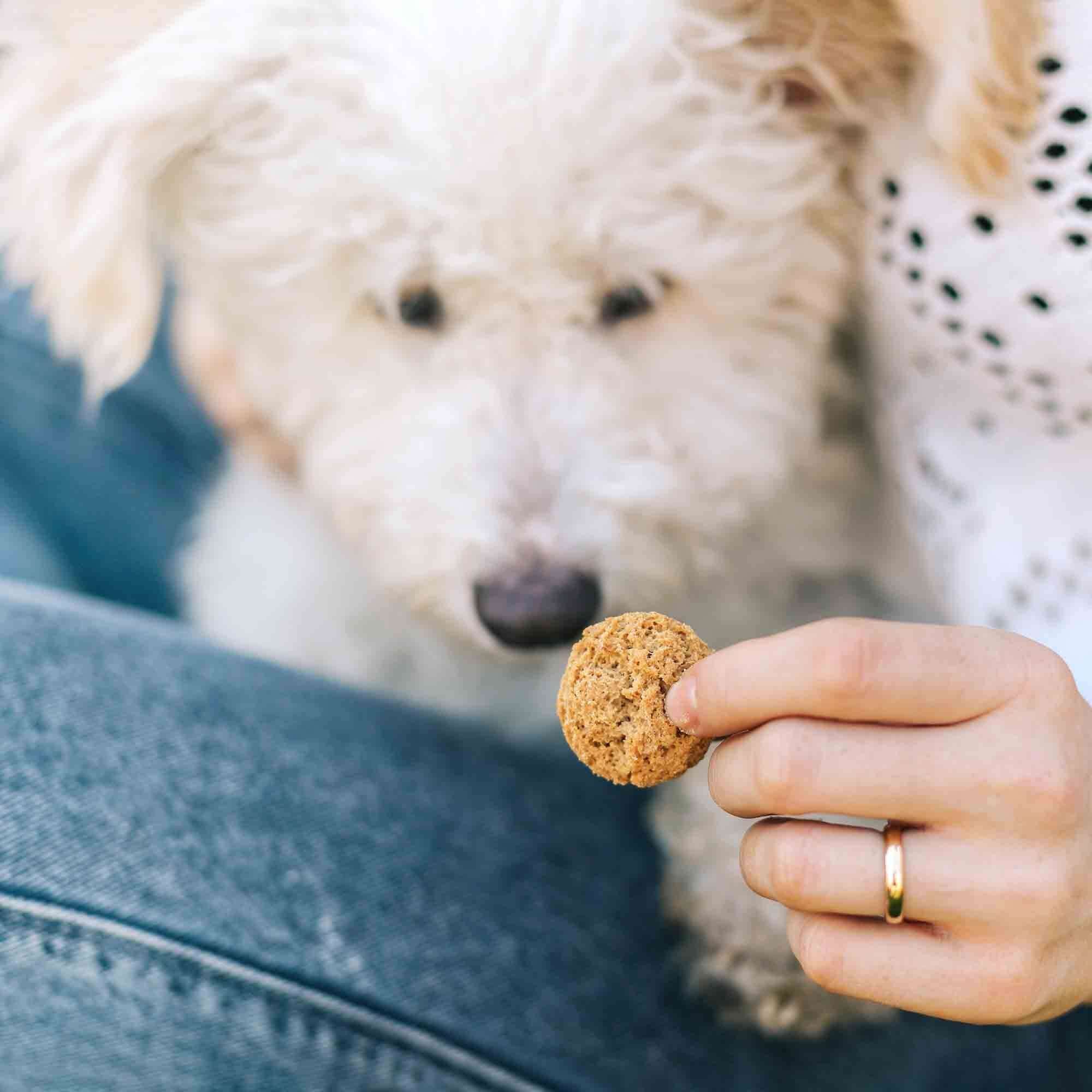 CBD Dog Treats - Image 6