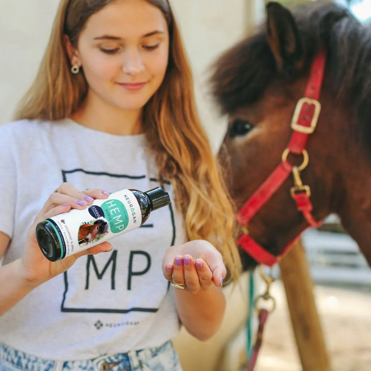 CBD Oil For Horses - Image 3