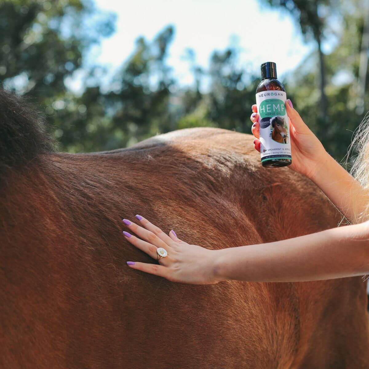CBD Oil For Horses - Image 4