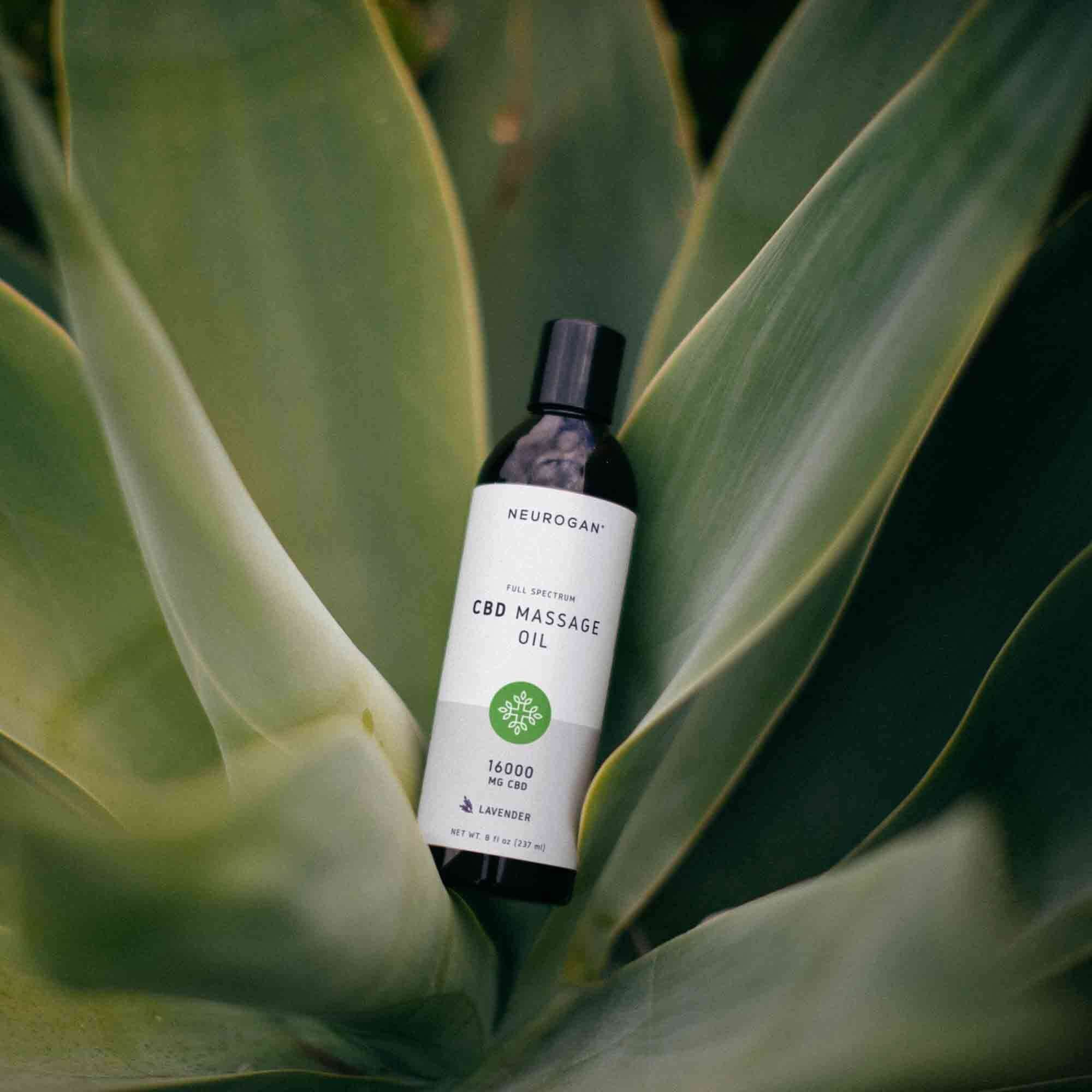 CBD Massage Oil - Image 6