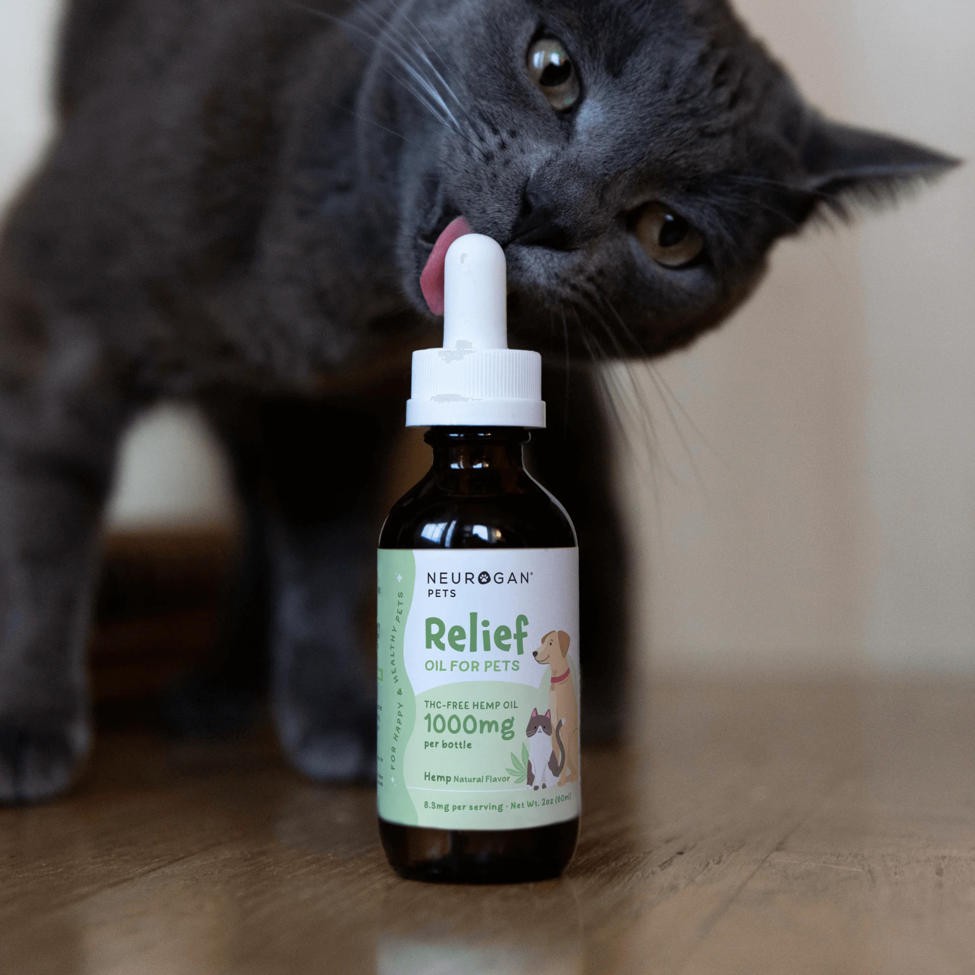 Pet CBD Tincture 1000MG - Image 4