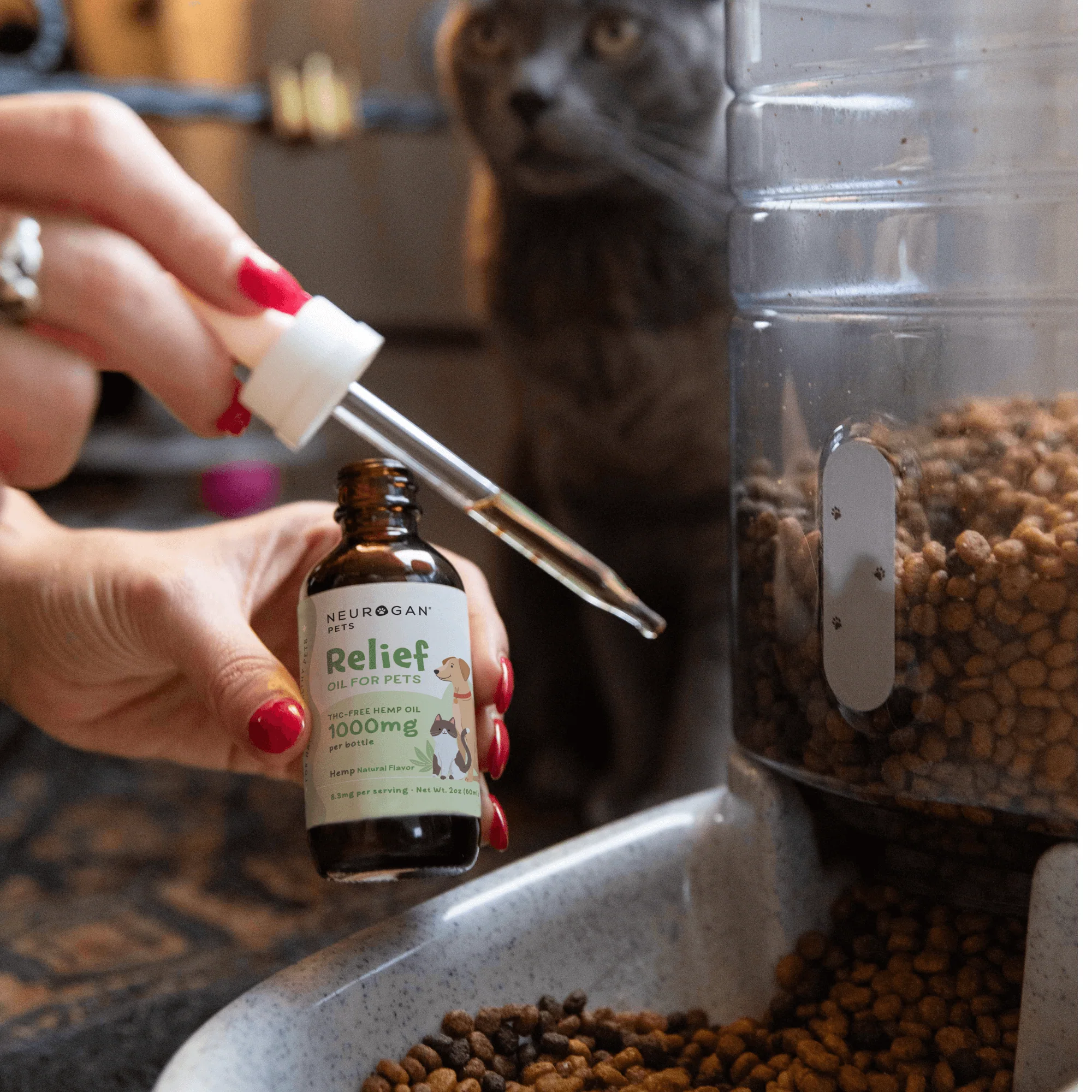 Pet CBD Tincture 1000MG - Image 5