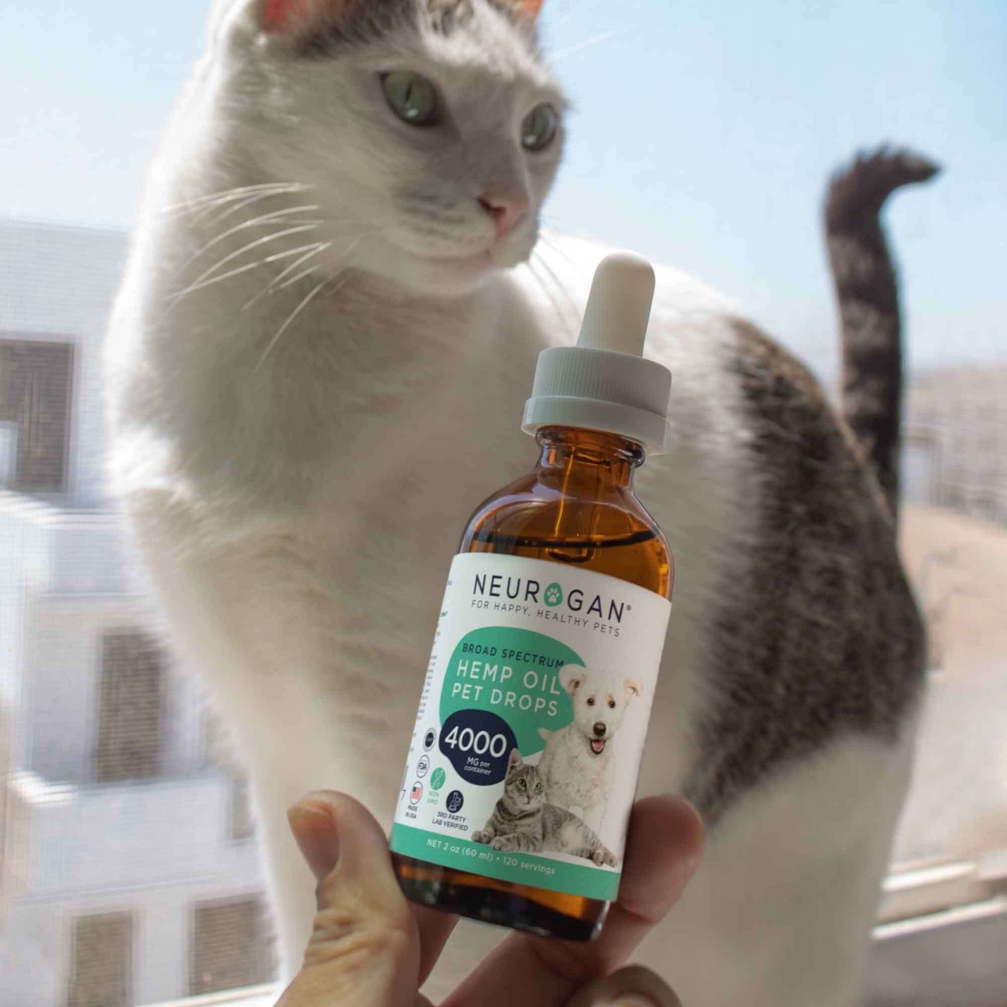 CBD Pet Oil 4000MG - Image 4