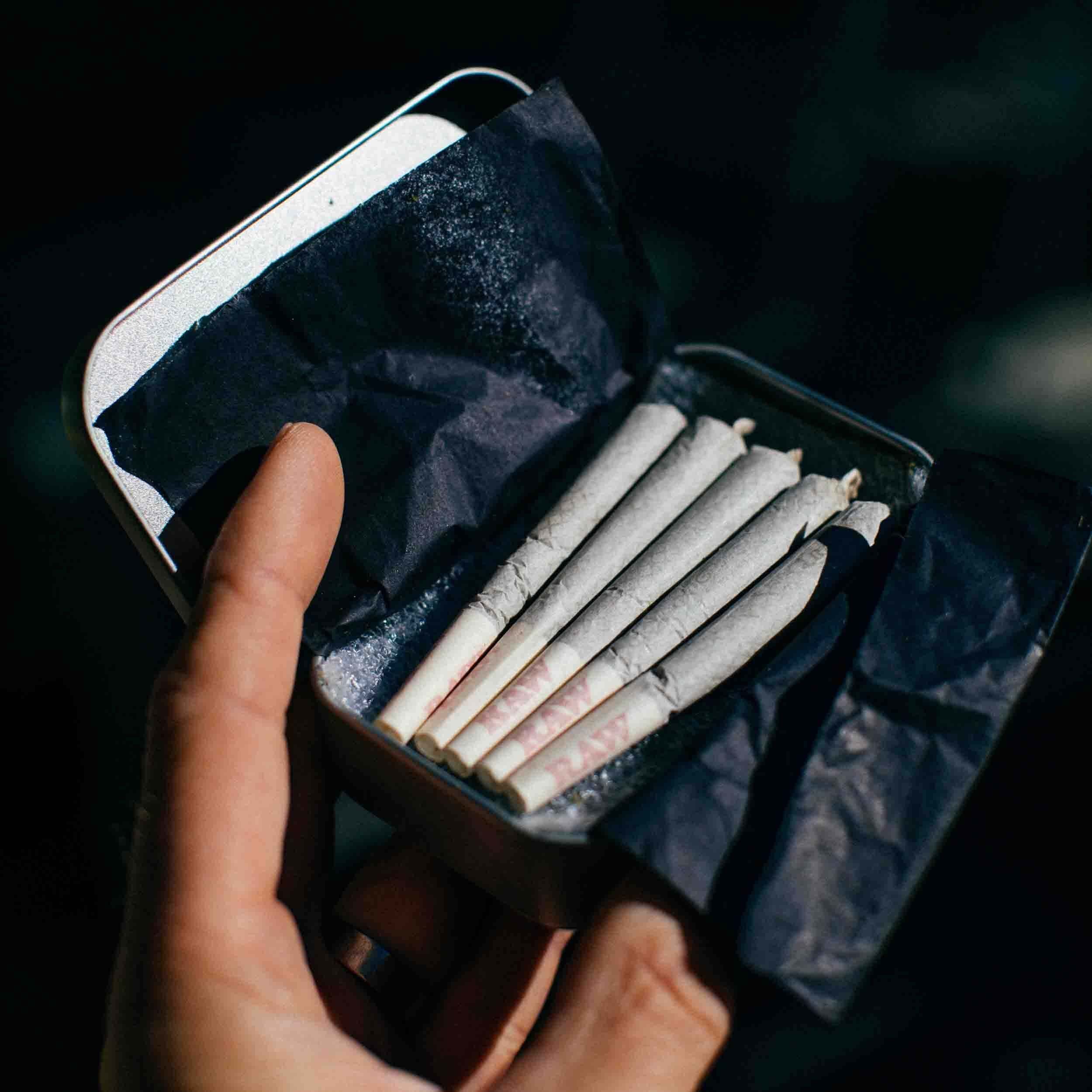 CBD Pre Rolls - Image 3