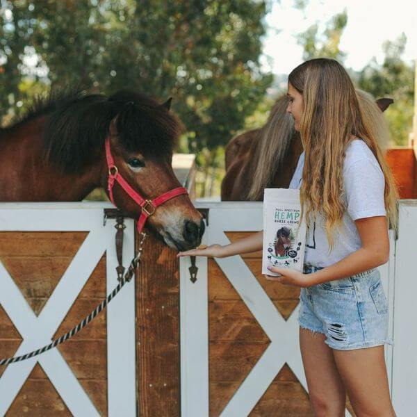 CBD Horse Chews - Image 3