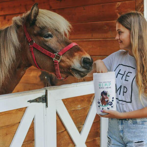 CBD Horse Chews - Image 4